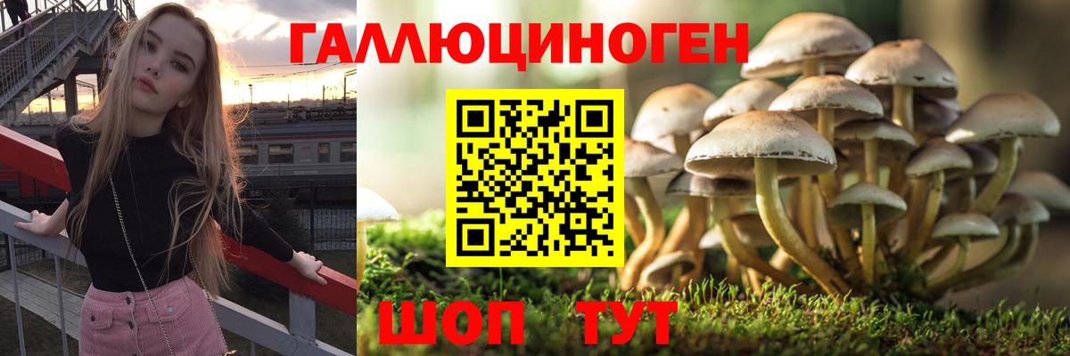 Галлюциногенные грибы Cubensis Киржач
