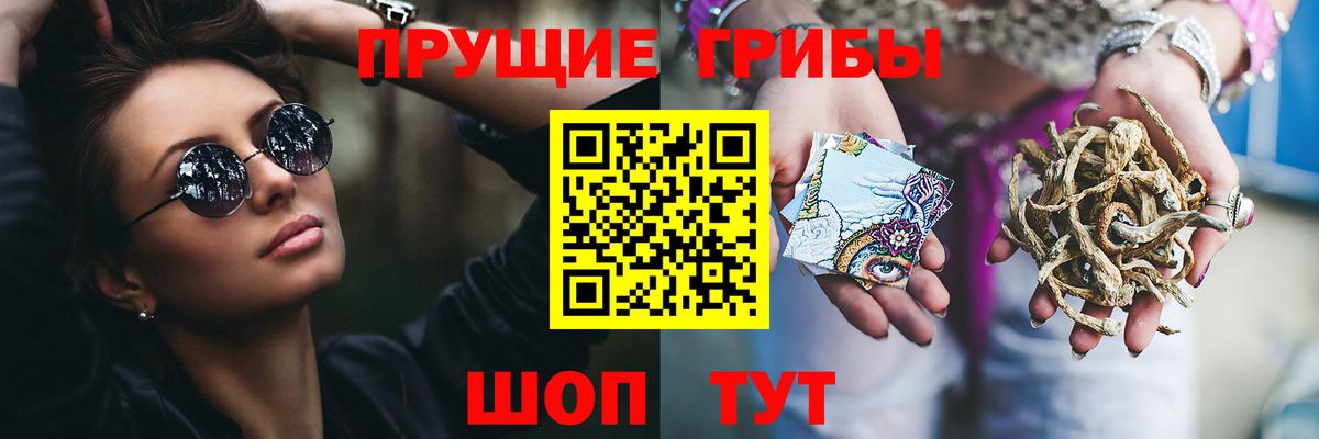 Киржач  Галлюциногенные грибы GOLDEN TEACHER  Вход с VPN 